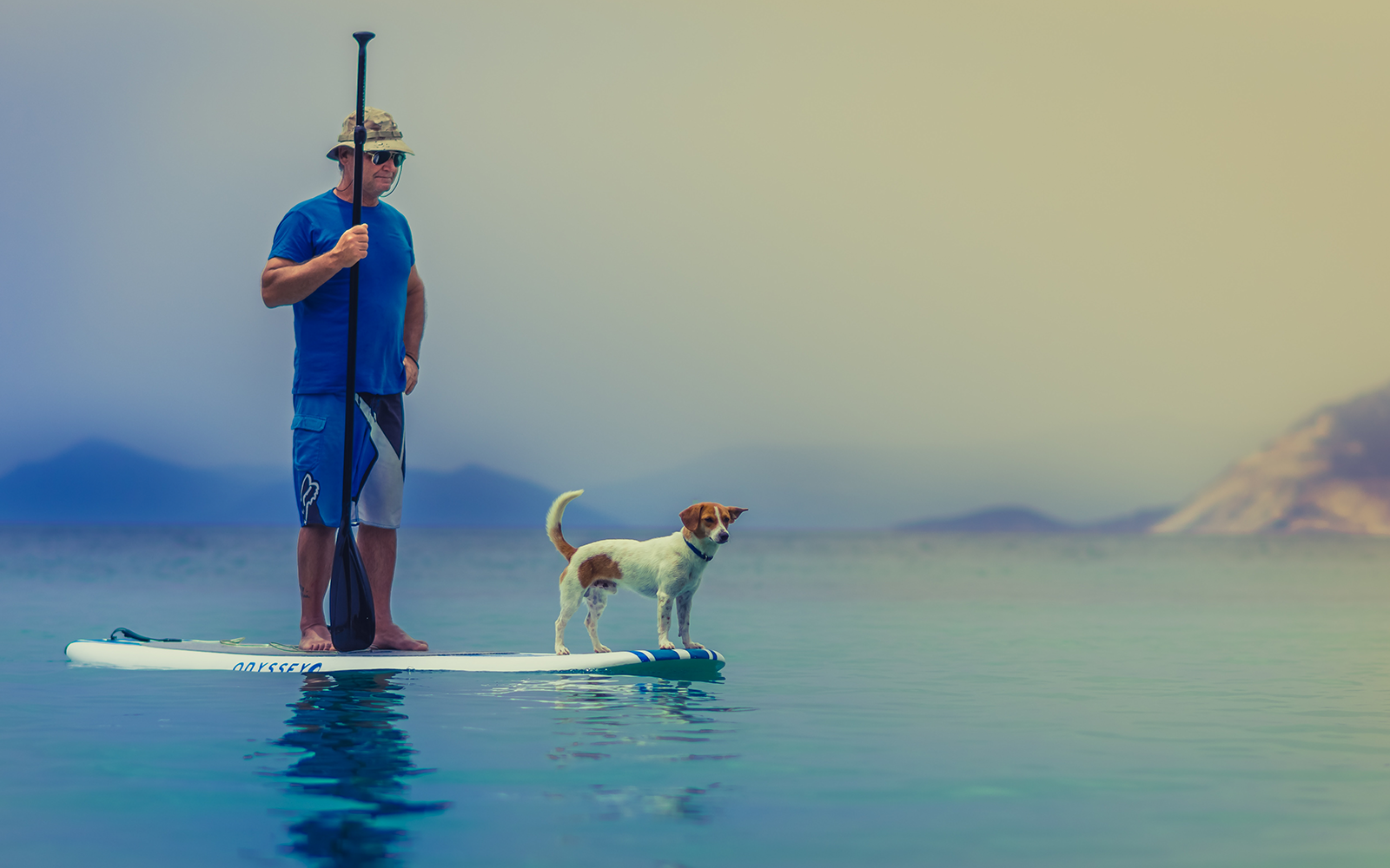 Test din hunds fertilitet så du får en bedre avl. Test your dogs sperm quality for a better breeding