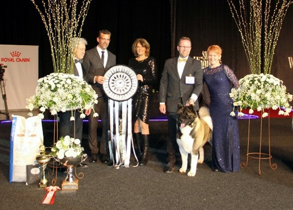 SHOW OF WINNERS – 40 YEARS ANNIVERSARY